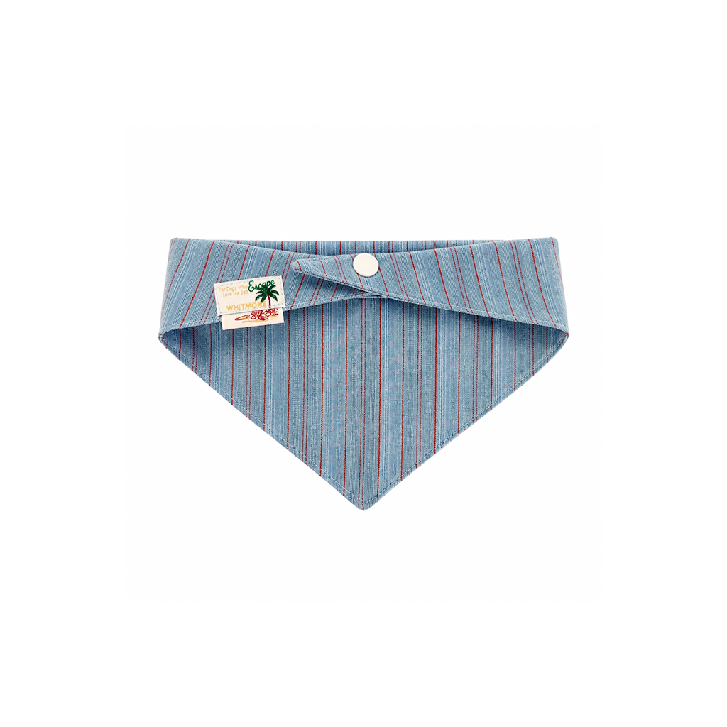 Pet Bandana & Matching Scrunchie Set: Coast Holiday Collection