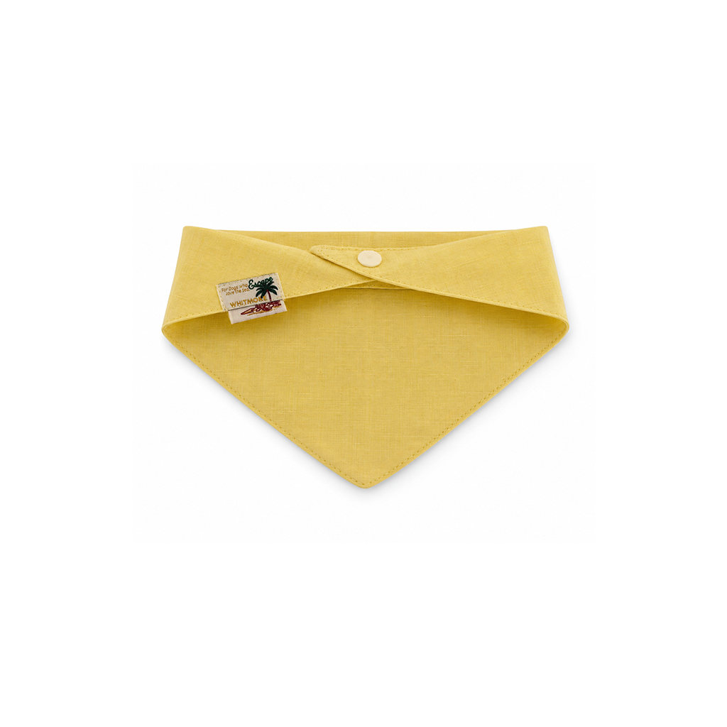 Pet Bandana & Matching Scrunchie Set: Coast Holiday Collection（副本）（副本）