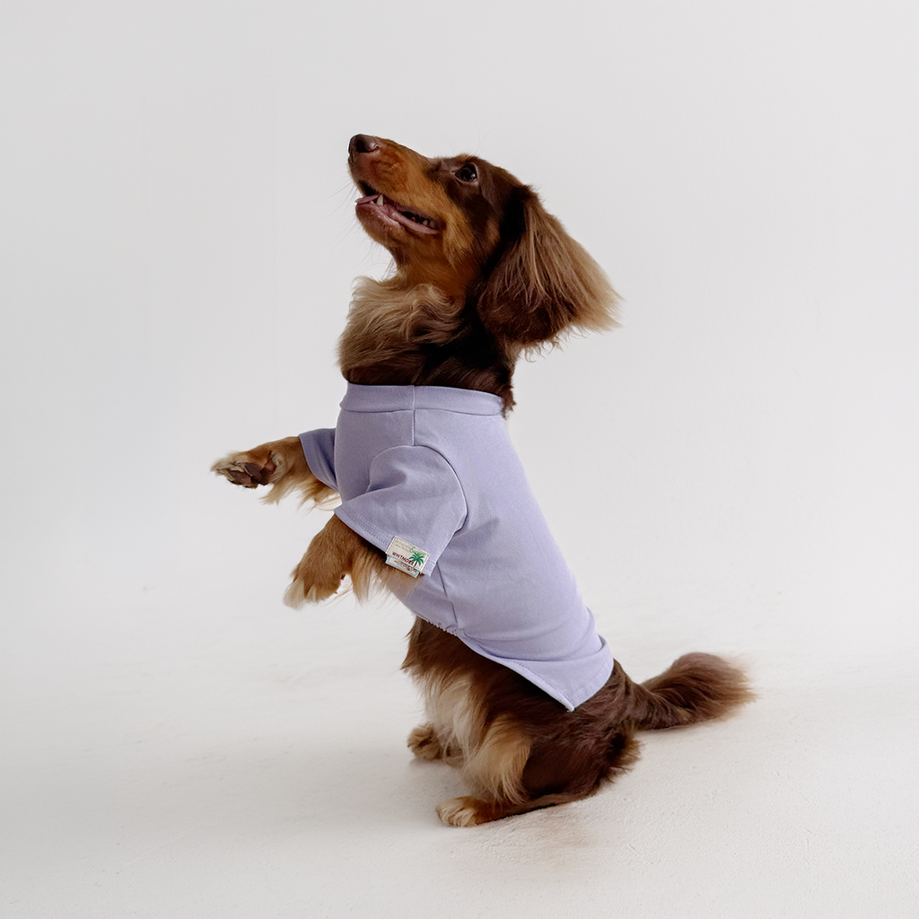 High-Stretch Anti-Roll Base Layer