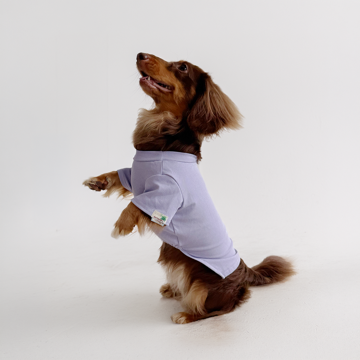 High-Stretch Anti-Roll Base Layer