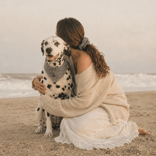 Navy Tide Pet Bandana & Matching Scrunchie Set