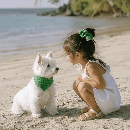 Pet Bandana & Matching Scrunchie Set: Coast Holiday Collection