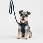 The Wayfarer Denim Dog Harness