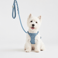 The Wayfarer Denim Dog Harness