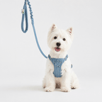 The Wayfarer Denim Dog Harness