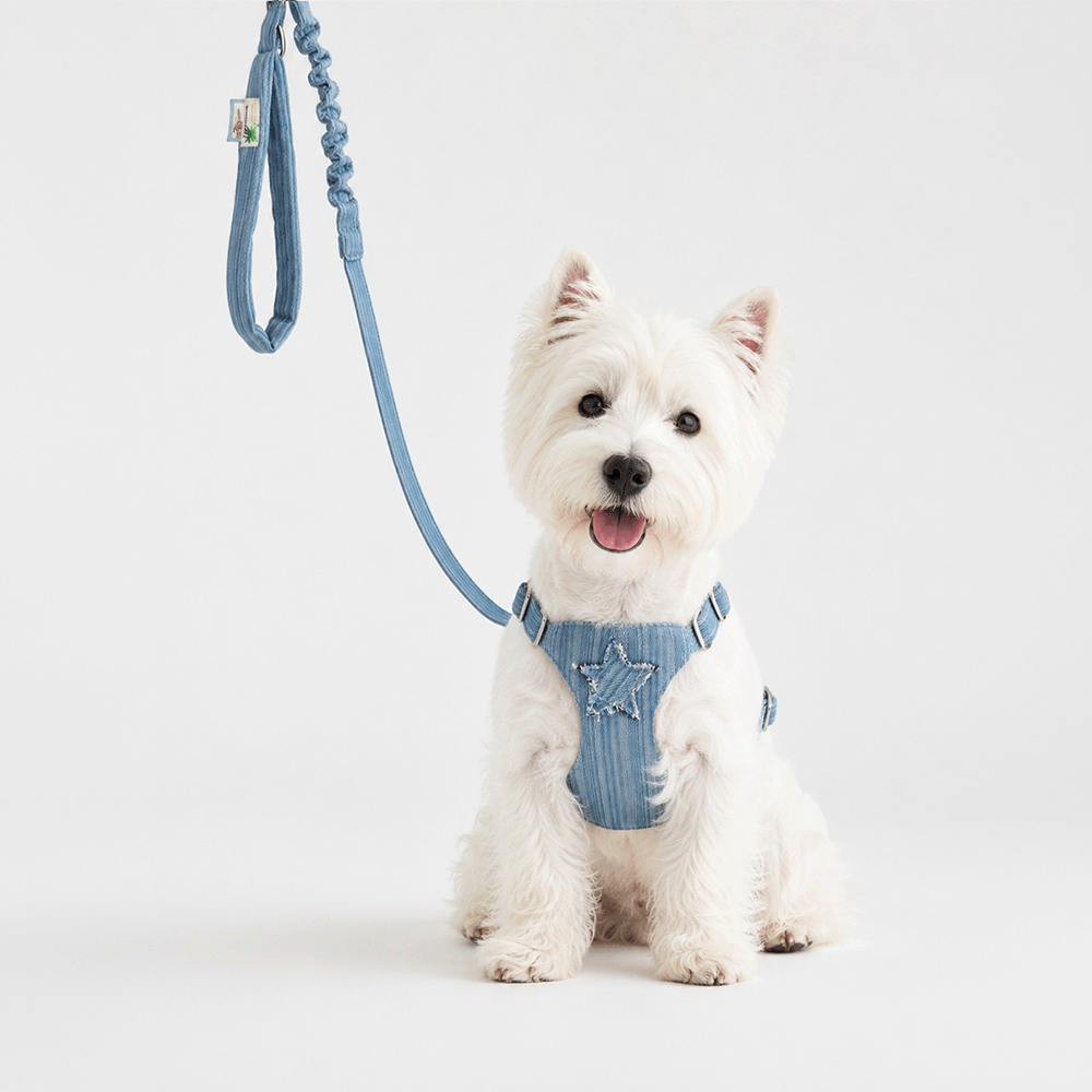 The Wayfarer Denim Dog Harness